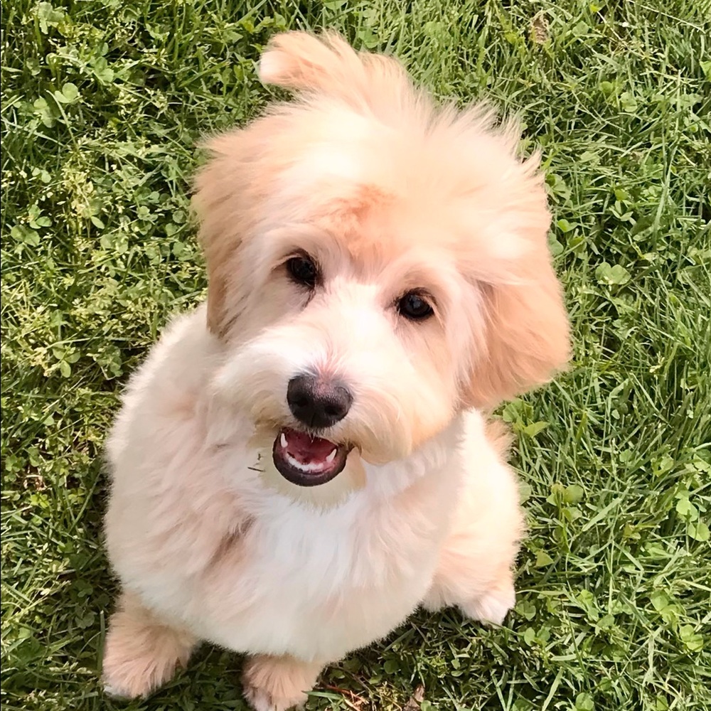 Meet your Posher, Erin